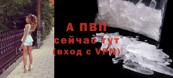 гидра Абаза