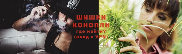 гидра Абаза