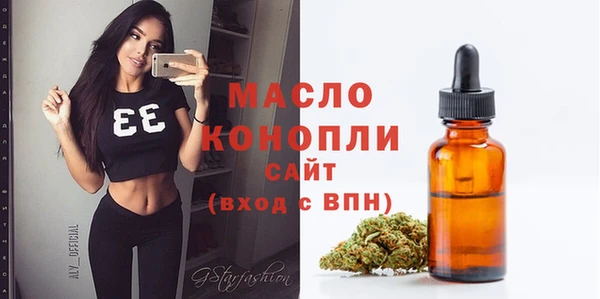 гидра Абаза