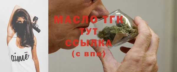 гидра Абаза