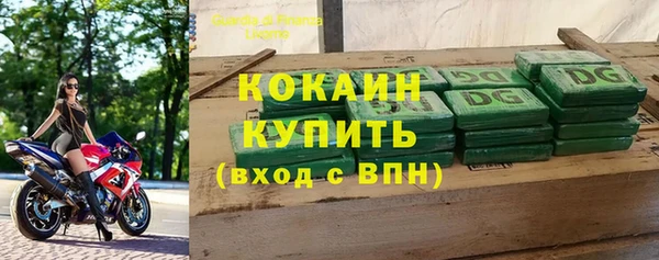 гидра Абаза