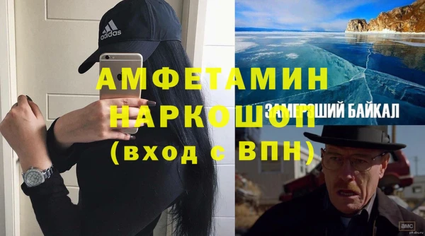 гидра Абаза