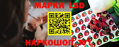 амф Обнинск