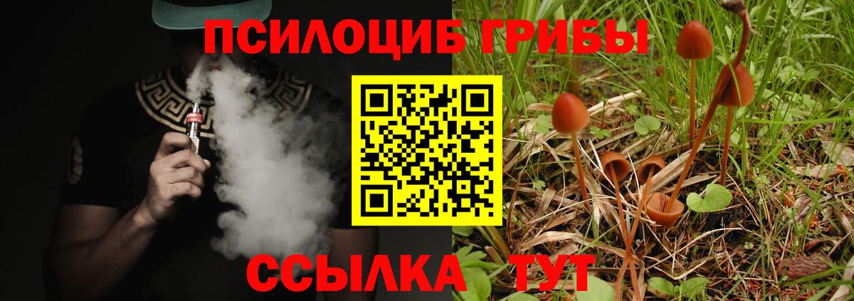 Галлюциногенные грибы Psilocybine cubensis Шахты